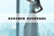 竞价多少钱托管  竞价托管专业团队