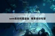 sem竞价托管企业  搜索竞价托管