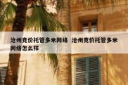 沧州竞价托管多米网络  沧州竞价托管多米网络怎么样