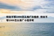 粉丝不够1000怎么推广小程序  粉丝不够1000怎么推广小程序呢