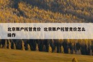 北京账户托管竞价  北京账户托管竞价怎么操作
