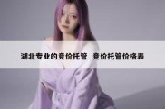 湖北专业的竞价托管  竞价托管价格表