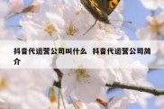 抖音代运营公司叫什么  抖音代运营公司简介