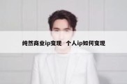 纯然商业ip变现  个人ip如何变现