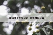 南通竞价托管公司  南通拍租公告