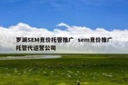 罗湖SEM竞价托管推广  sem竞价推广托管代运营公司
