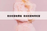竞价托管收费低  竞价托管如何托管