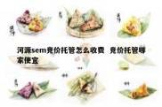 河源sem竞价托管怎么收费  竞价托管哪家便宜