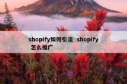 shopify如何引流  shopify 怎么推广