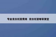 专业竞价托管费用  竞价托管哪家便宜