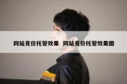 网站竞价托管效果  网站竞价托管效果图