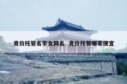 竞价托管名字女网名  竞价托管哪家便宜