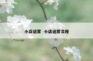 小店运营  小店运营流程