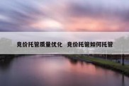 竞价托管质量优化  竞价托管如何托管