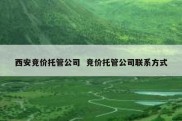 西安竞价托管公司  竞价托管公司联系方式