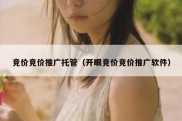 竞价竞价推广托管（开眼竞价竞价推广软件）
