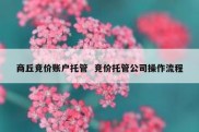 商丘竞价账户托管  竞价托管公司操作流程