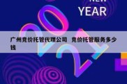 广州竞价托管代理公司  竞价托管服务多少钱