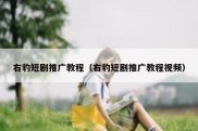 右豹短剧推广教程（右豹短剧推广教程视频）