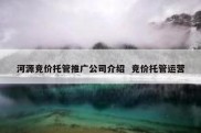 河源竞价托管推广公司介绍  竞价托管运营