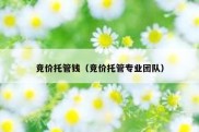 竞价托管钱（竞价托管专业团队）