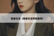 地推引流（地推引流判刑案例）