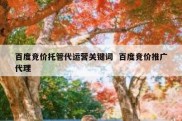 百度竞价托管代运营关键词  百度竞价推广代理