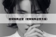 视频矩阵运营（视频矩阵运营方案）