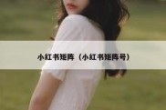 小红书矩阵（小红书矩阵号）