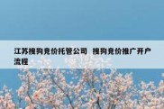 江苏搜狗竞价托管公司  搜狗竞价推广开户流程