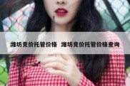 潍坊竞价托管价格  潍坊竞价托管价格查询