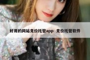 好用的网站竞价托管app  竞价托管软件