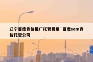 辽宁百度竞价推广托管费用  百度sem竞价托管公司