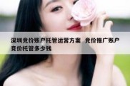 深圳竞价账户托管运营方案  竞价推广账户竞价托管多少钱
