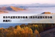 竞价代运营托管价格表（竞价代运营托管价格表图片）