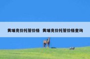 黄埔竞价托管价格  黄埔竞价托管价格查询