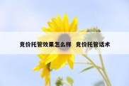 竞价托管效果怎么样  竞价托管话术