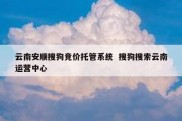 云南安顺搜狗竞价托管系统  搜狗搜索云南运营中心