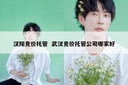 汉阳竞价托管  武汉竞价托管公司哪家好