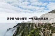 济宁神马竞价托管  神马竞价效果怎样