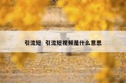 引流短  引流短视频是什么意思