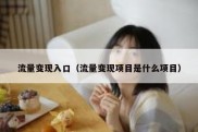 流量变现入口（流量变现项目是什么项目）