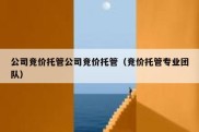 公司竞价托管公司竞价托管（竞价托管专业团队）
