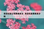 竞价托管公司费用多少  竞价托管费用多少钱