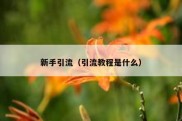 新手引流（引流教程是什么）