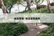 微信营销  微信营销案例