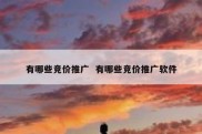 有哪些竞价推广  有哪些竞价推广软件