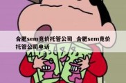 合肥sem竞价托管公司  合肥sem竞价托管公司电话