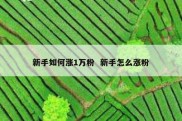 新手如何涨1万粉  新手怎么涨粉