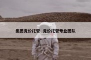 集团竞价托管  竞价托管专业团队